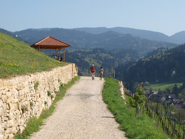 Wandern am Kastelberg bei Sulzburg